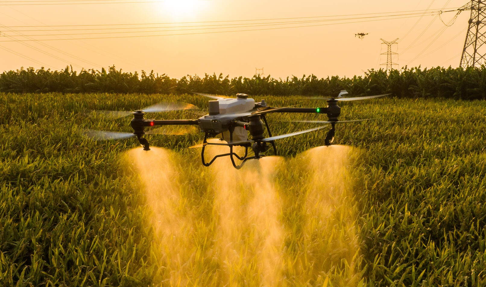 TEN OD MOKREJ ROBOTY