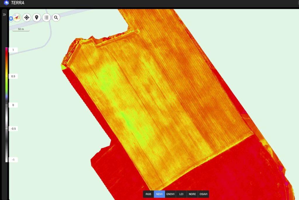 ndvi map ndvi map